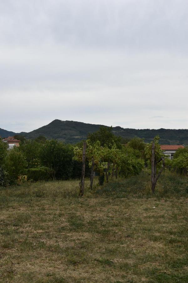 Small House In Vipava Valley Bagian luar foto